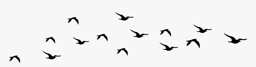 Bird Silhouette Flying - Cow On White Background, HD Png Download, Free Download