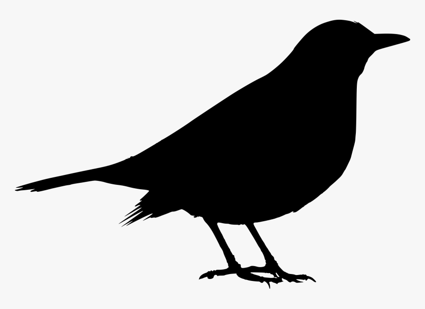 Black Bird Png - Dairy Cow Png, Transparent Png, Free Download