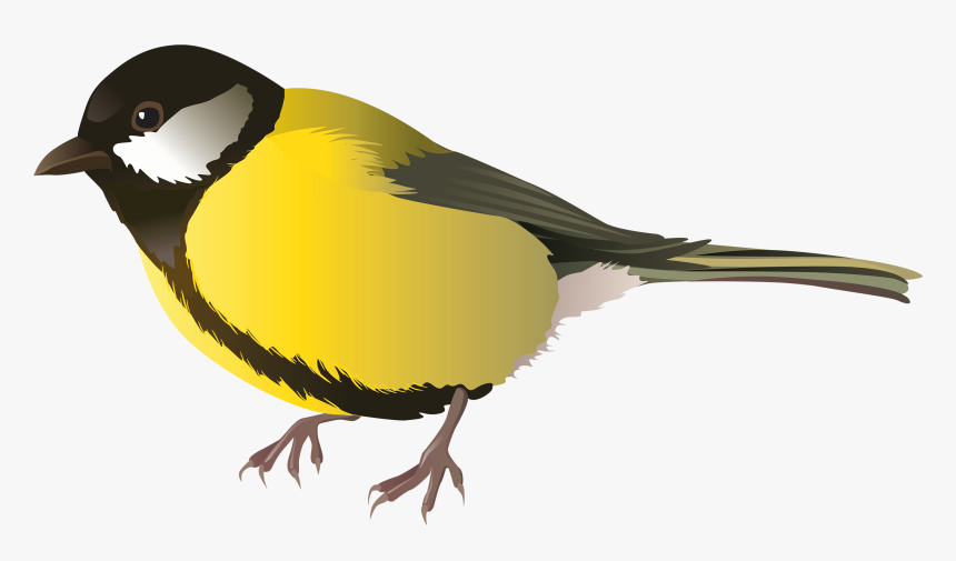 Homely Ideas Bird Clipart Cartoon Bunny Yellow Png - Bird Png, Transparent Png, Free Download