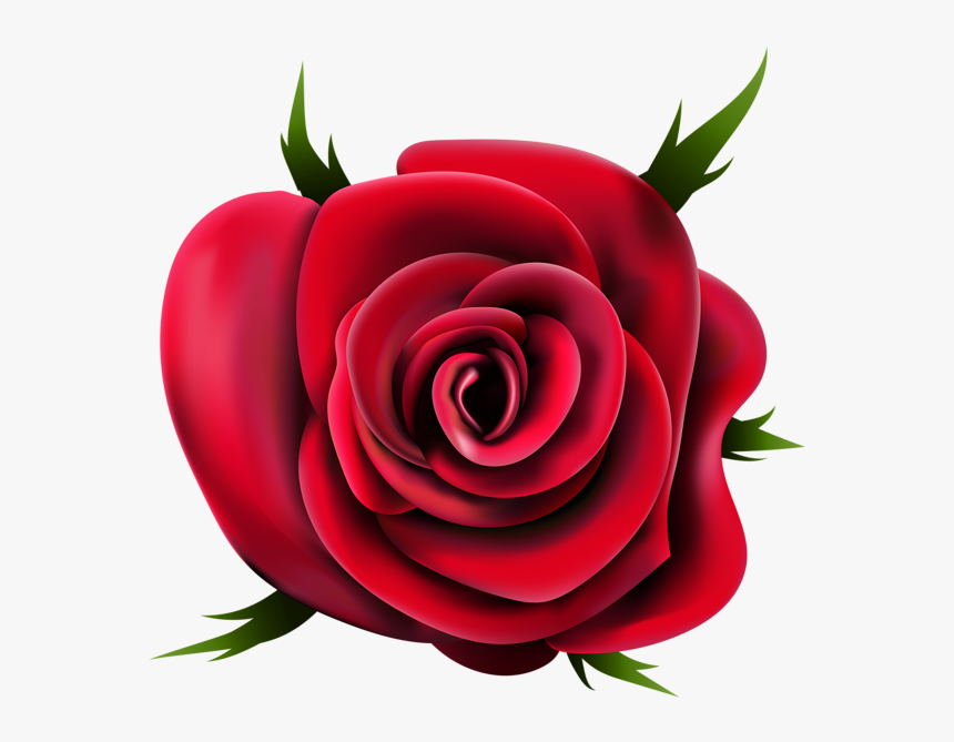 Rose Png - Rose Flower Images Png, Transparent Png, Free Download