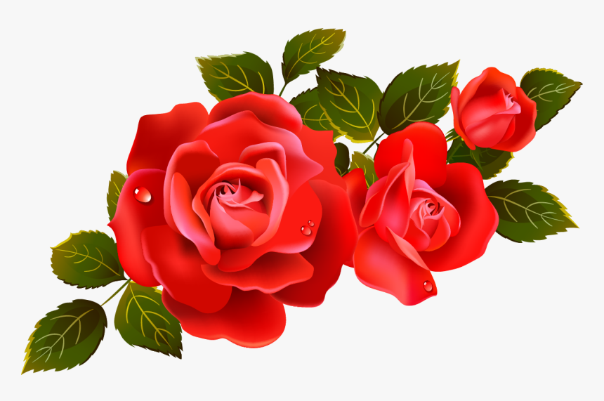 Rose Png - Roses Transparent Background Png, Png Download, Free Download