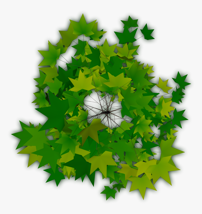 Trees Top Png - Top View Of Tree, Transparent Png, Free Download