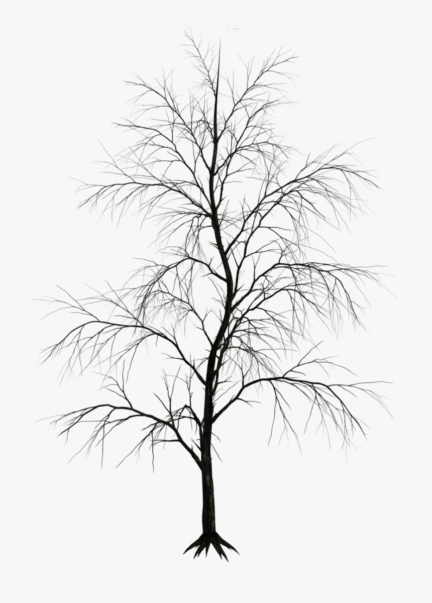 Haunted Tree Black And White, HD Png Download, Free Download