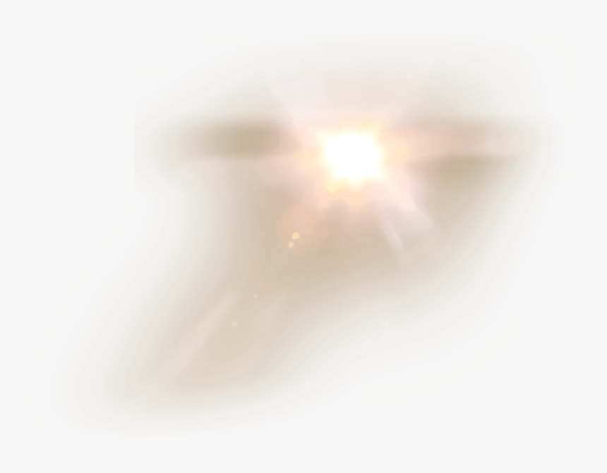 Lens Flare Png Transparent Background - Insect, Png Download, Free Download