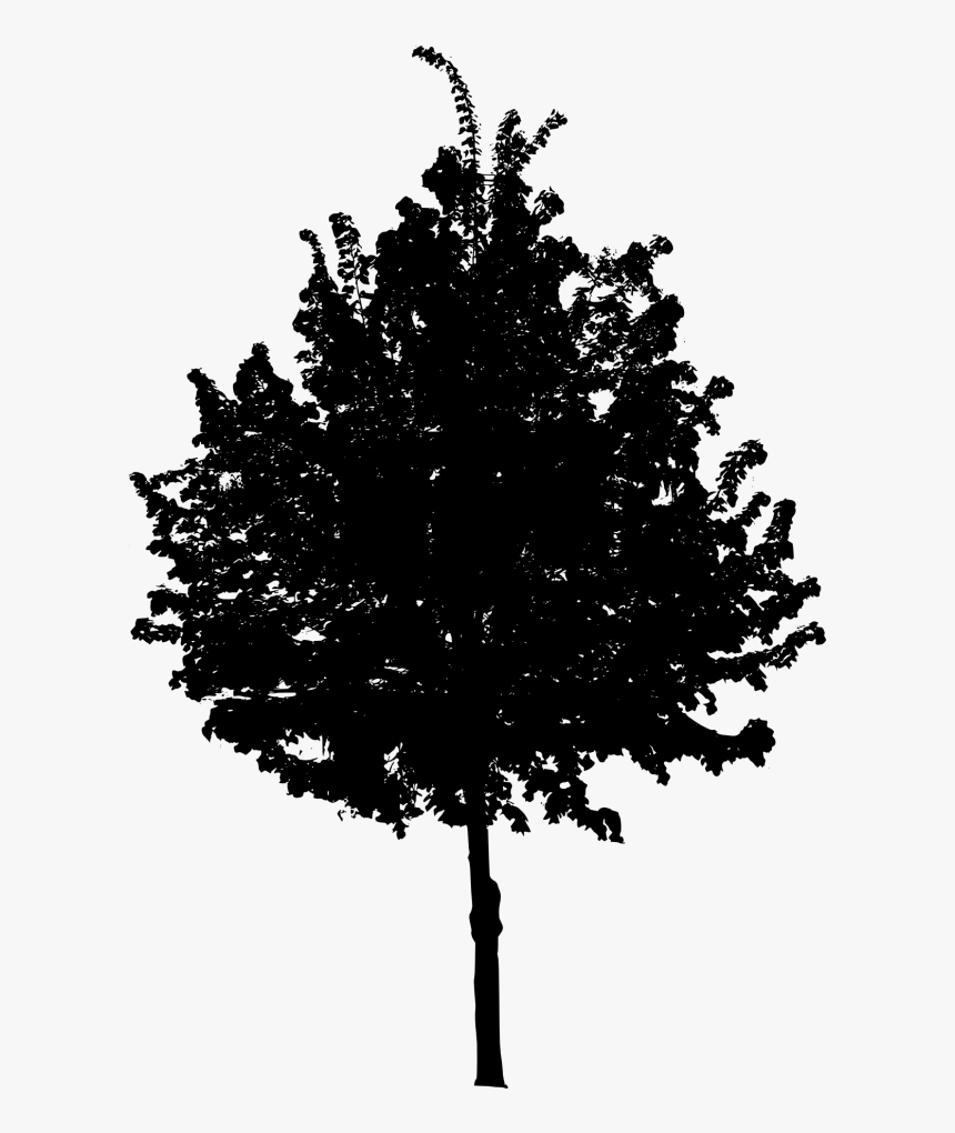 Tree-4 - Black Tree Png, Transparent Png, Free Download