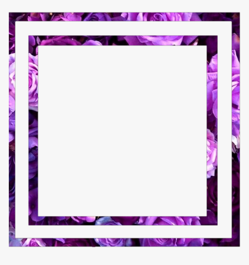 Purple Square Frame, HD Png Download, Free Download