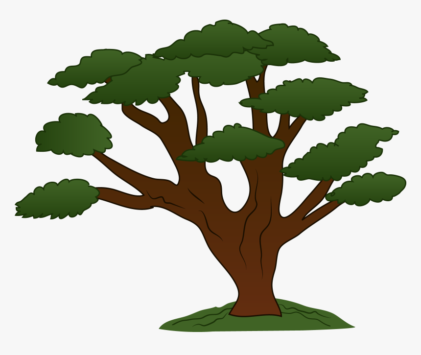 Trees Family Tree Clipart Free Clipart Images Cliparting - Big Trees Clip Art, HD Png Download, Free Download