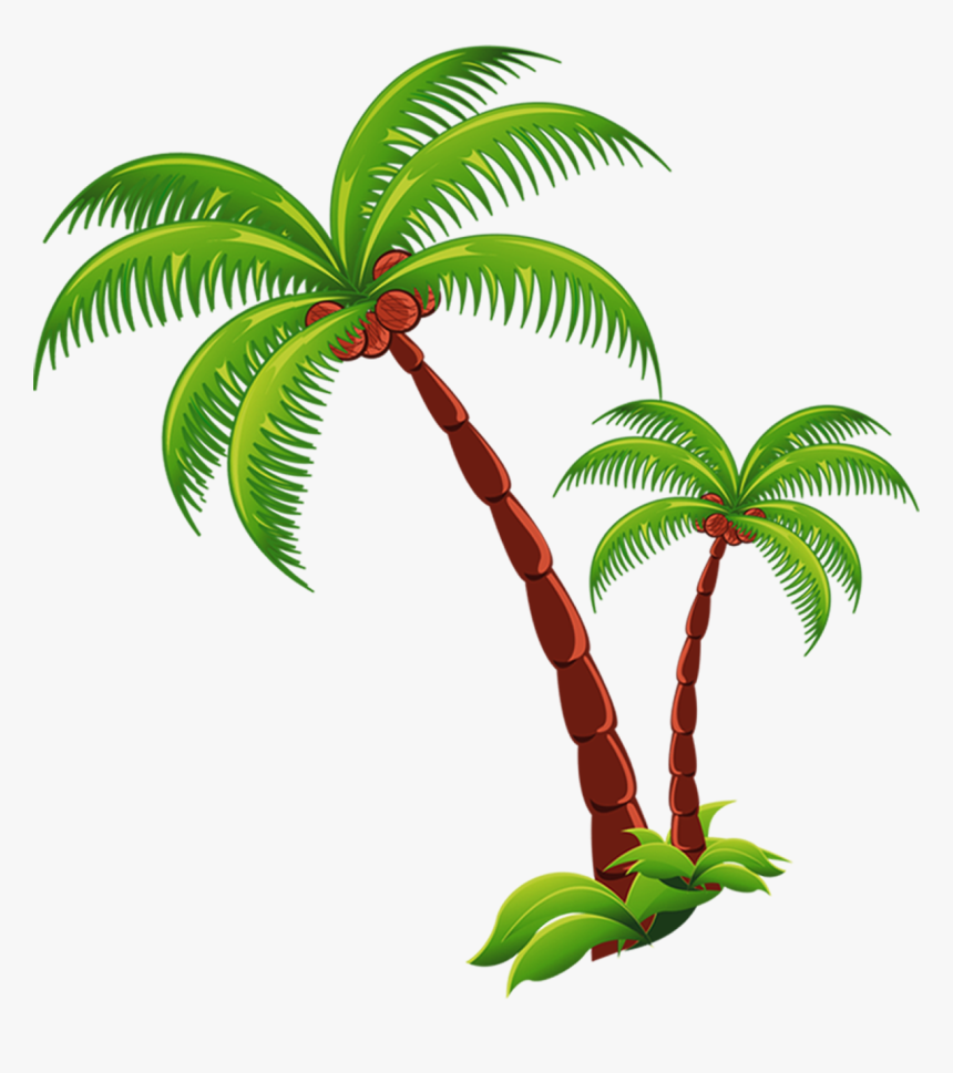 Coconut Tree Png Picture - Coconut Tree Transparent Png, Png Download, Free Download