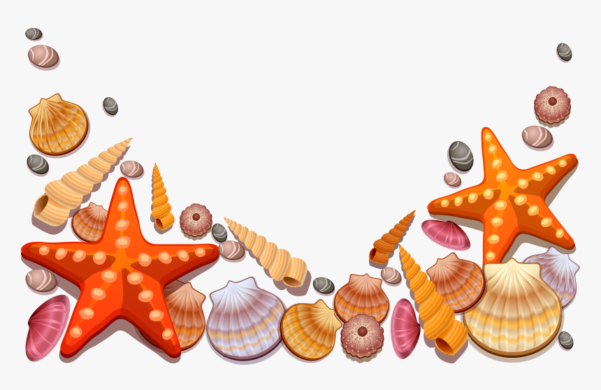 Seashell Border Png Free - Sea Shells Vector Png, Transparent Png, Free Download
