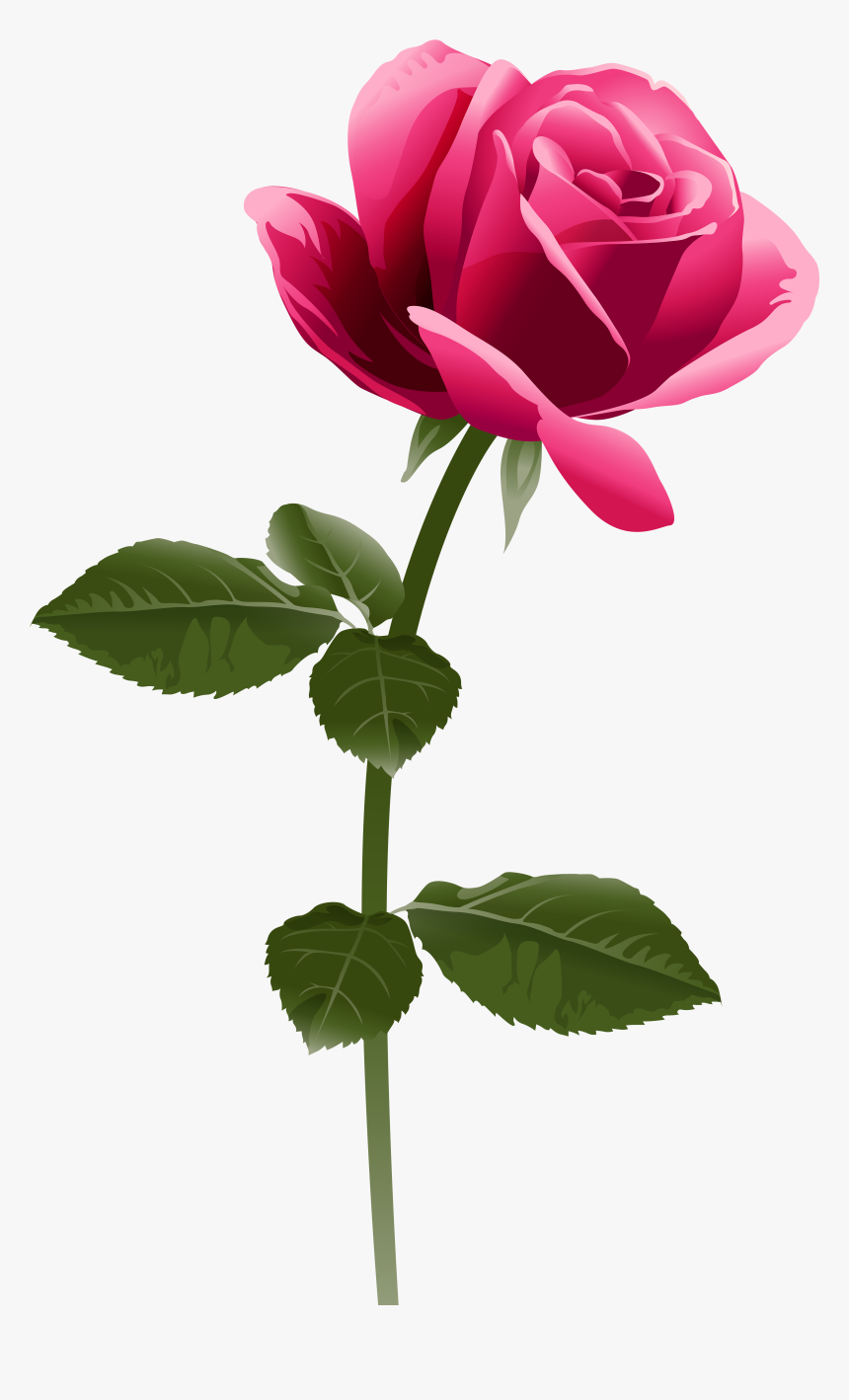 Pink Rose Png Clip Art Image - Full Hd Rose Png, Transparent Png, Free Download