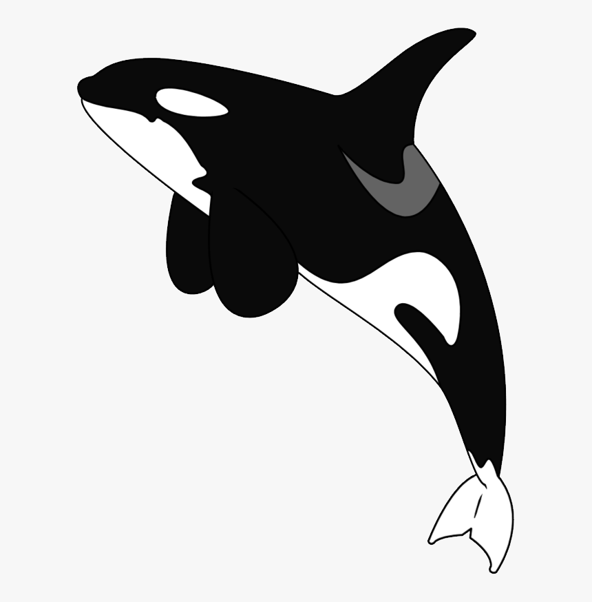 Killer Whale Png - Orca Tattoo, Transparent Png, Free Download