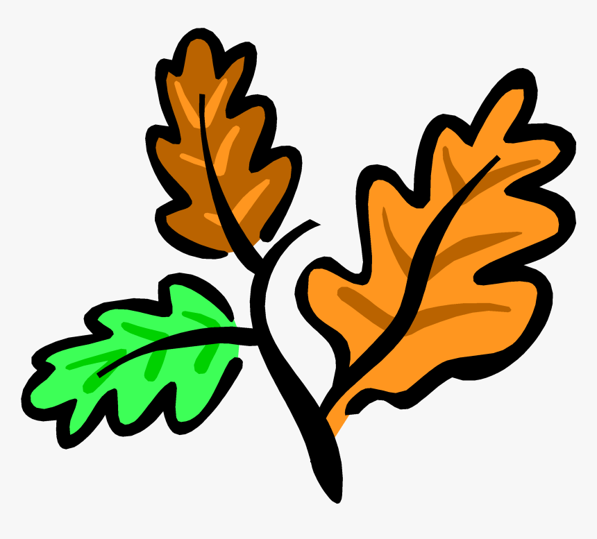 Download Oak Tree Leaves Clip Art Clipart Leaf Clip - Oak Tree Leaves Clipart, HD Png Download, Free Download