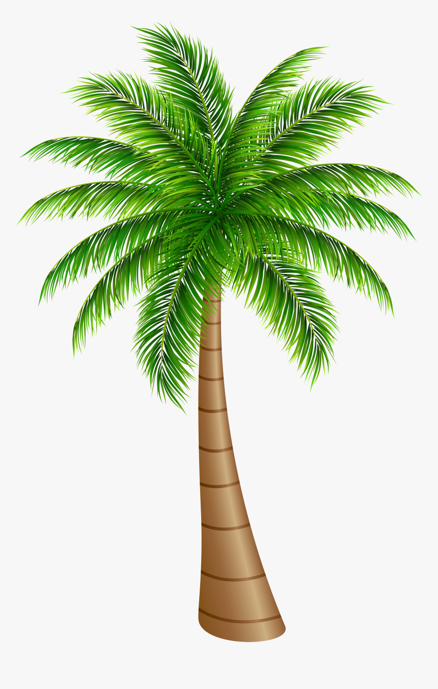 Palm Trees Clip Art Png - Palm Tree Clip Art, Transparent Png, Free Download
