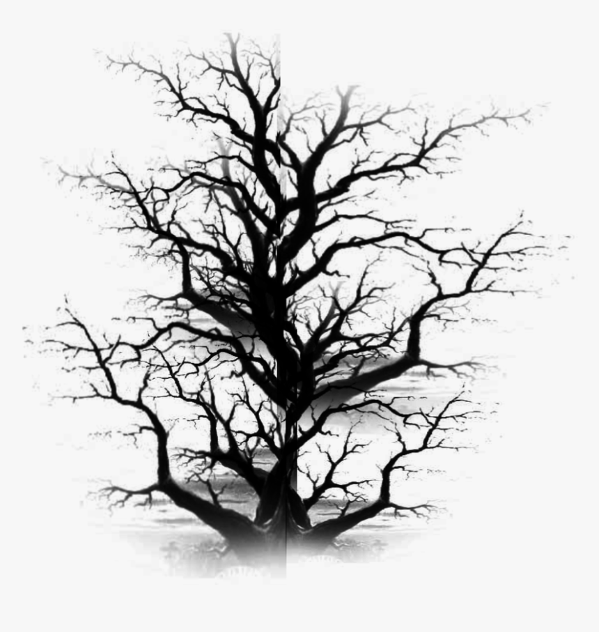 Dead Tree Clipart Plain Black - Old Dead Tree Png, Transparent Png, Free Download