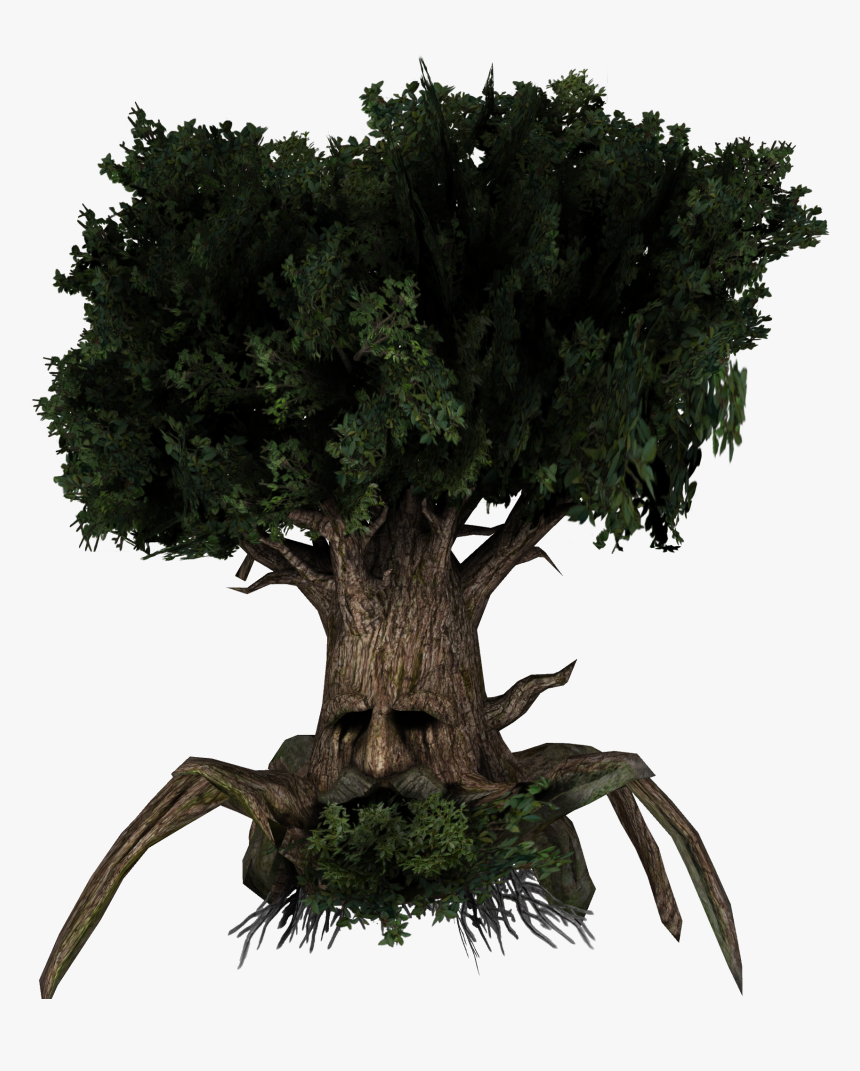 Transparent Bonsai Tree Png - Great Deku Tree Png, Png Download, Free Download