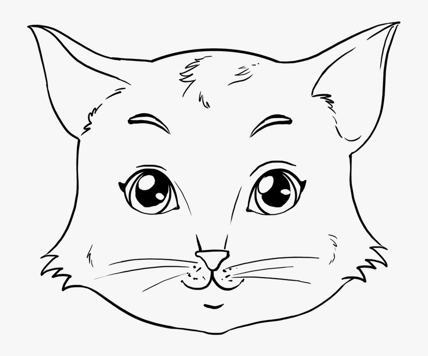 How To Draw A Face Caricature For Beginners Anime In - Easy Cat Face Sketch, HD Png Download, Free Download