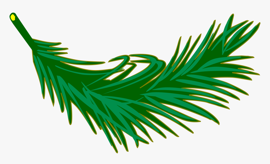 Palm Frond Clip Arts - Palm Leaves Clip Art, HD Png Download, Free Download