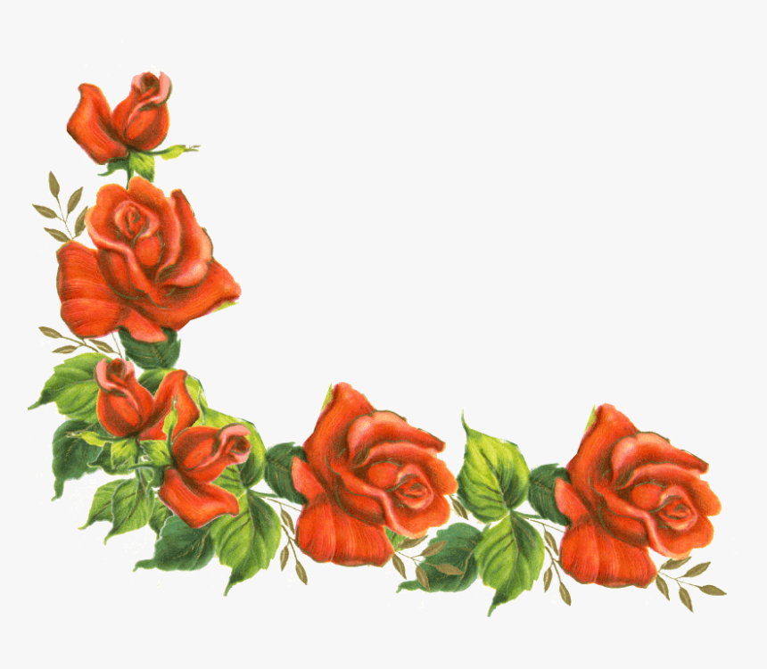 Borders And Frames Rose Flower Clip Art - Roses Corner Border Clipart, HD Png Download, Free Download