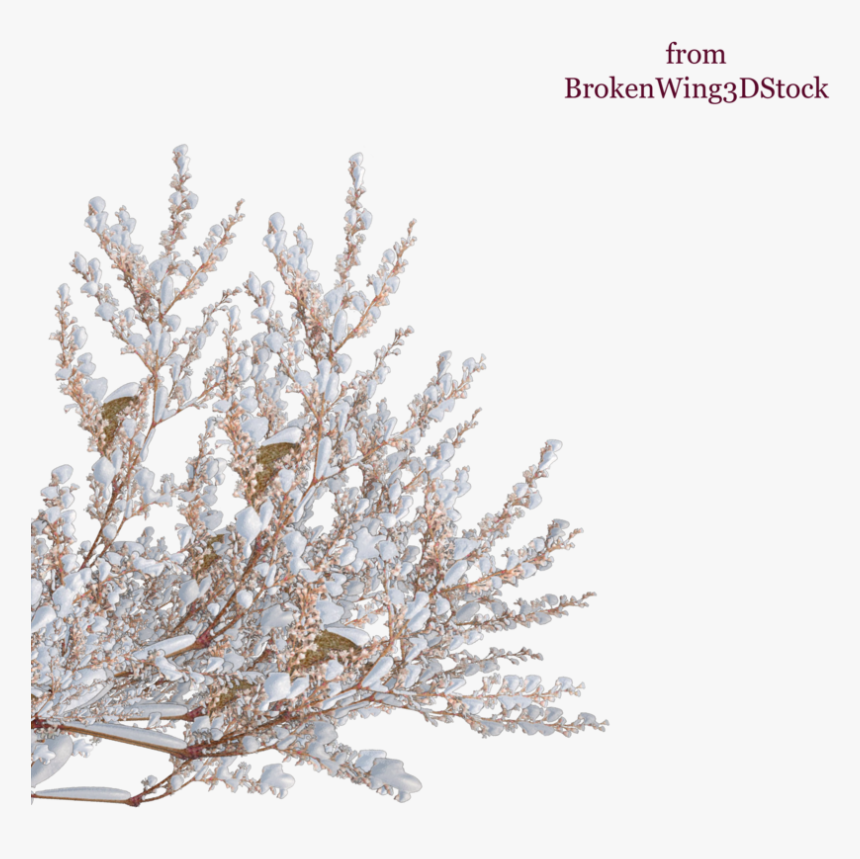 Tree Shrub Winter Branch - Tree With Snow Animated Png, Transparent Png, Free Download