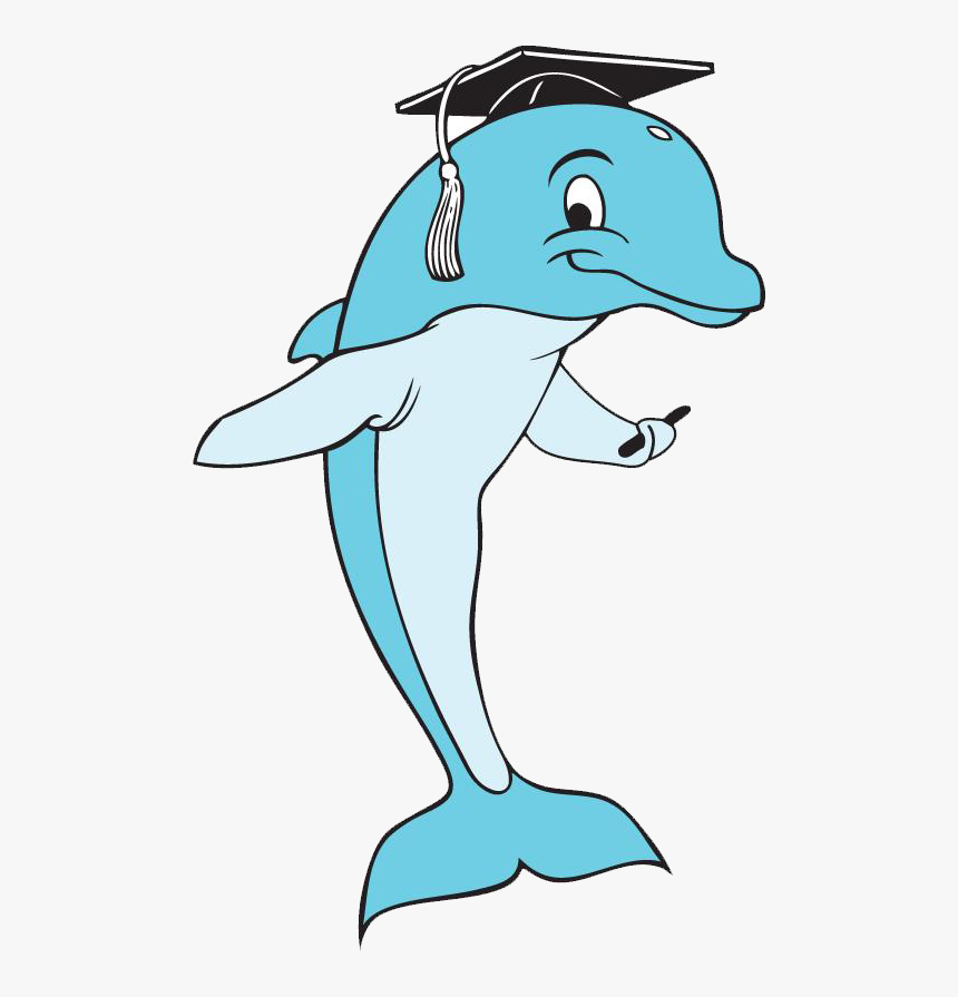 For Free Download And - Dolphin With Graduation Cap Clipart, HD Png Download, Free Download