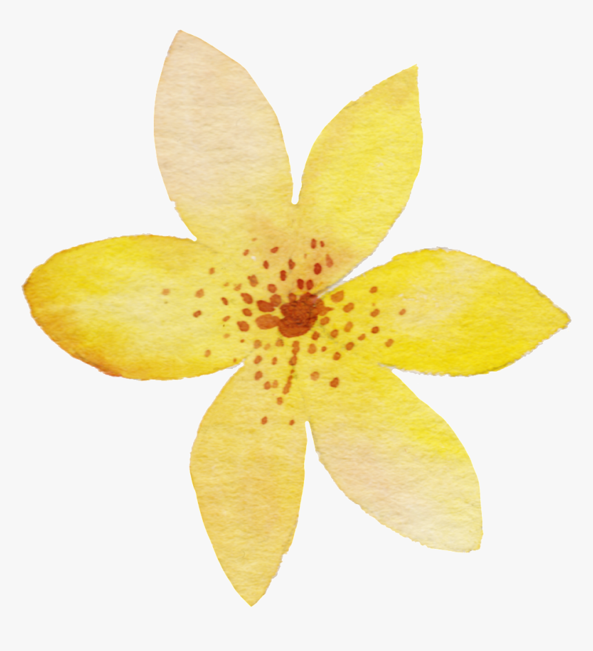 Yellow Watercolor Flower Png Transparent - Yellow Watercolor Flower Png, Png Download, Free Download