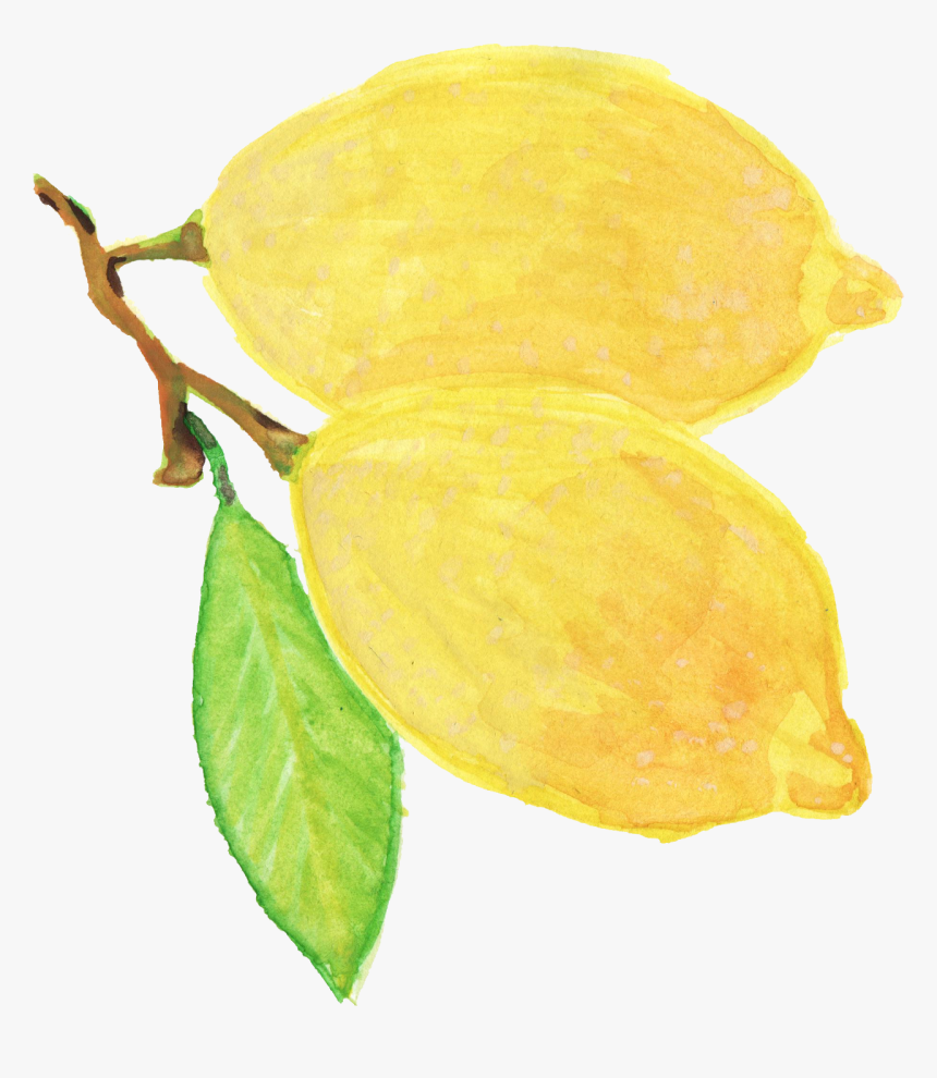 Png Watercolor Yellow Flower, Transparent Png, Free Download