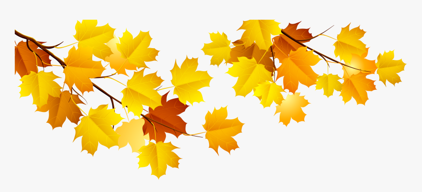 Autumn Png Image - Autumn Tree Branch Png, Transparent Png, Free Download