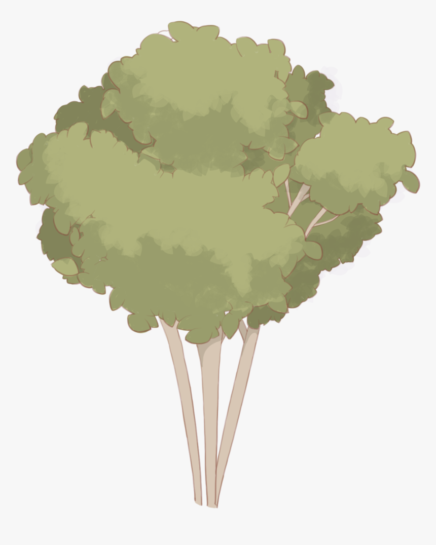 Tree Psd Painted, HD Png Download, Free Download