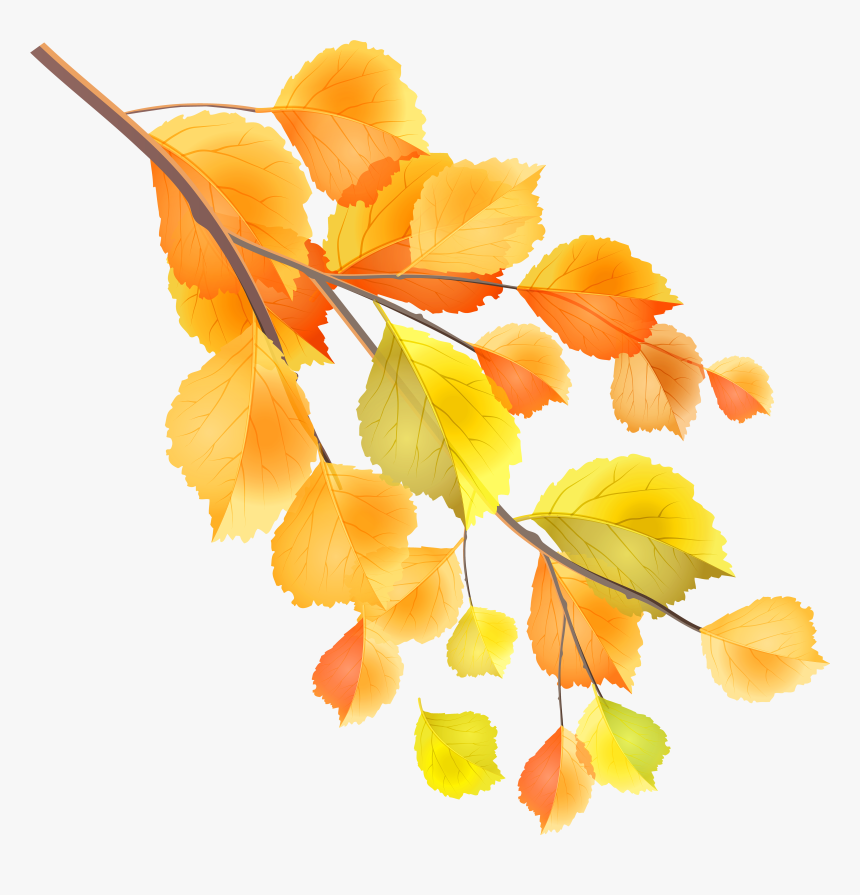 Fall Clipart Branch - Fall Branches Clip Art Png, Transparent Png, Free Download