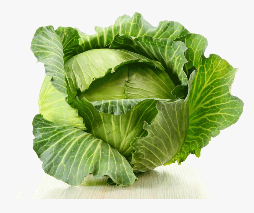 Cabbage Png Image - Vegetable That Taste Bad, Transparent Png, Free Download