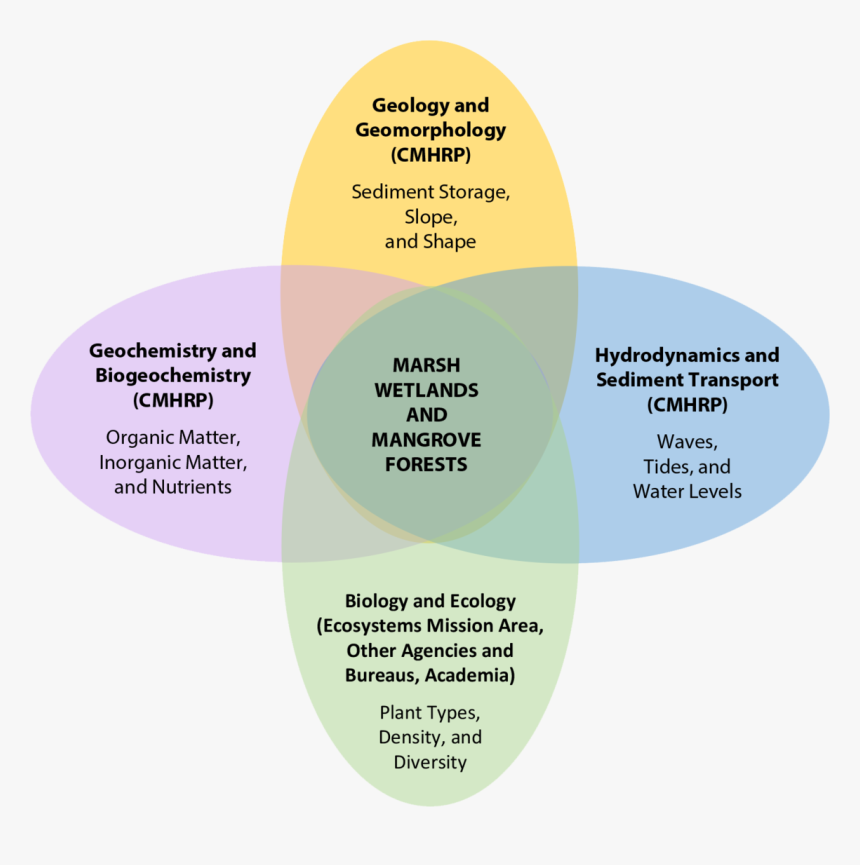 Venn Diagram Highlighting Important Controls On Living - Nutrients And Energy Interact In An Ecosystem Venn, HD Png Download, Free Download