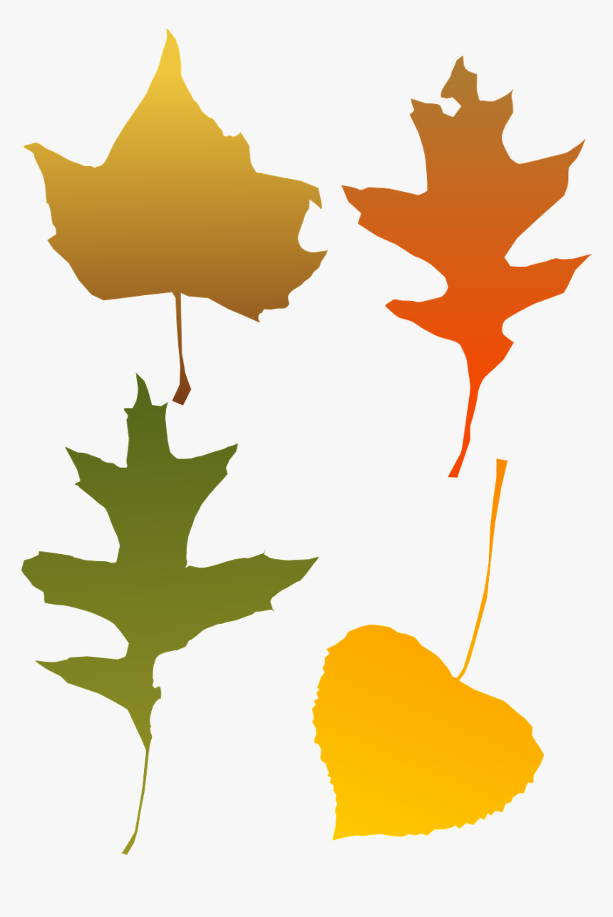 Autumn Leaf Color Red Maple Tree - Autumn Leaf Clip Art, HD Png Download, Free Download