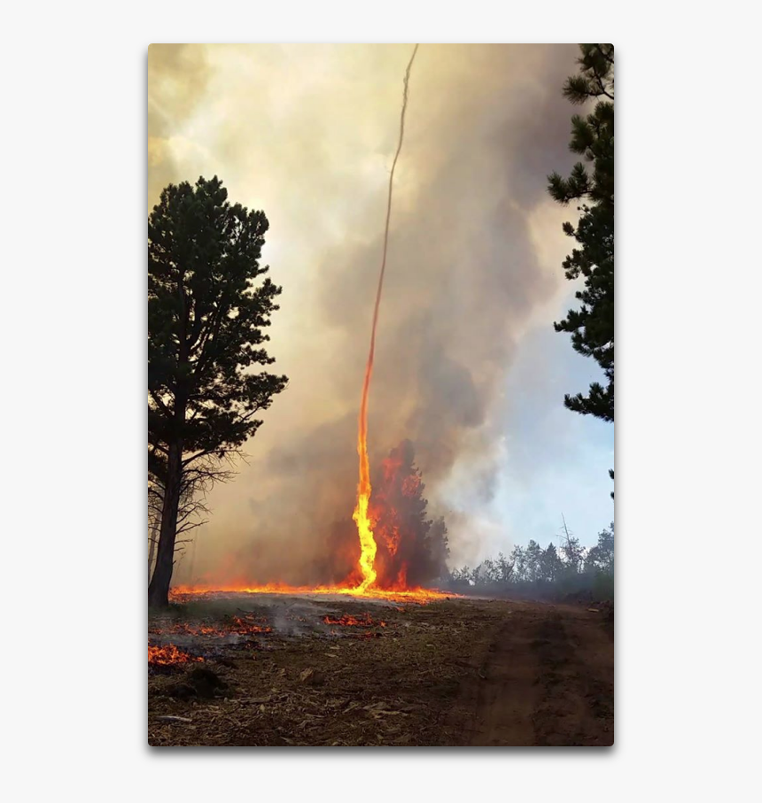 Firedog - Fire Tornado Colorado, HD Png Download, Free Download
