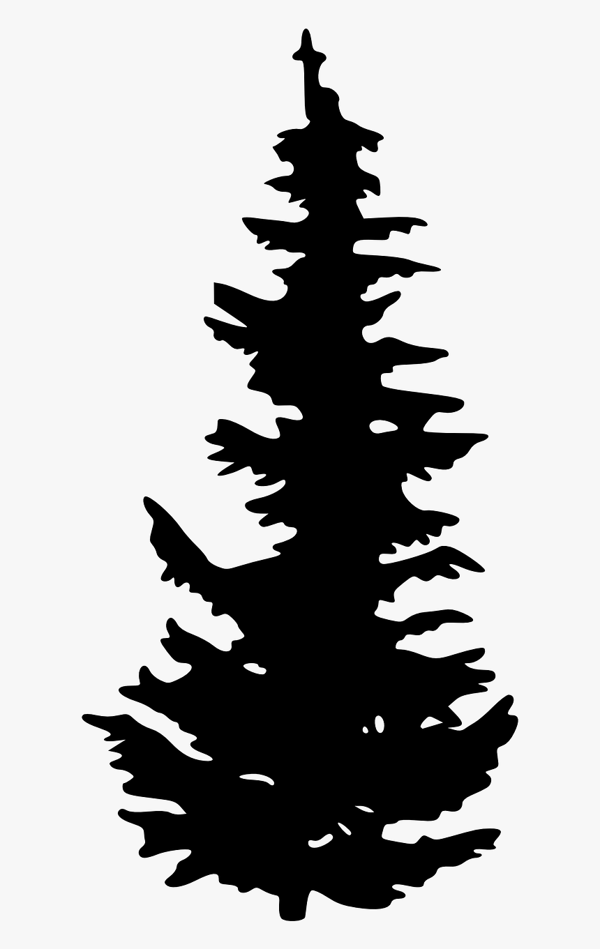 Evergreen Tree Silhouette Clip Art, HD Png Download, Free Download
