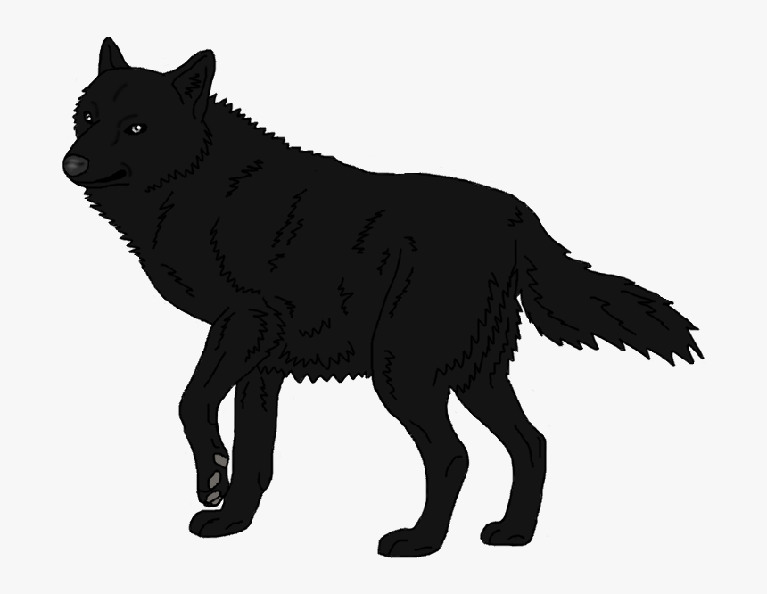 Schipperke Arctic Wolf Mexican Wolf Black Wolf Arctic - Black Wolf Png, Transparent Png, Free Download