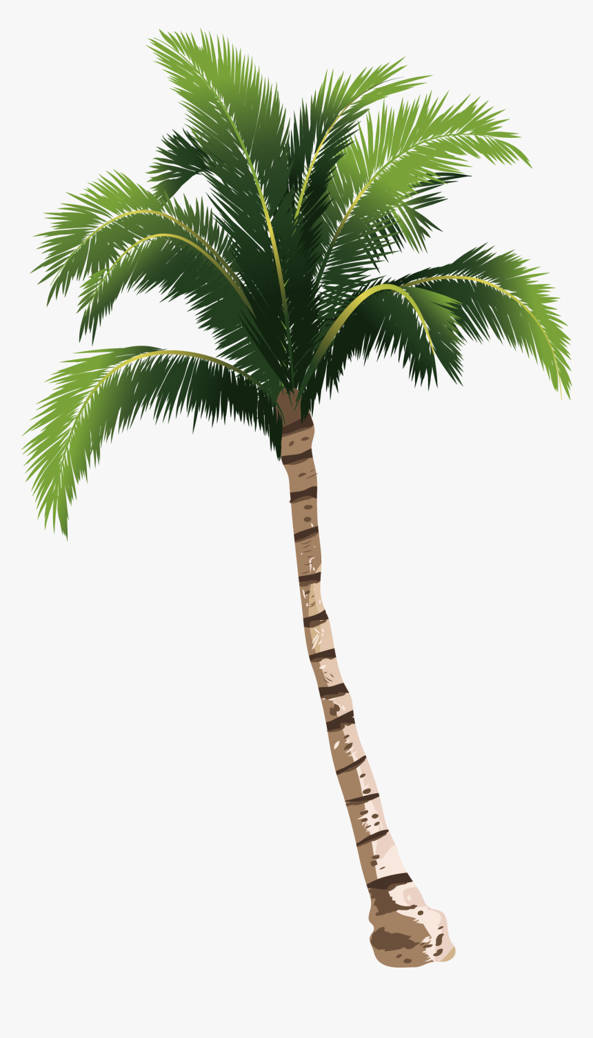 Coconut Tree Hq Image Free Png Clipart - Coconut Tree Png Free, Transparent Png, Free Download
