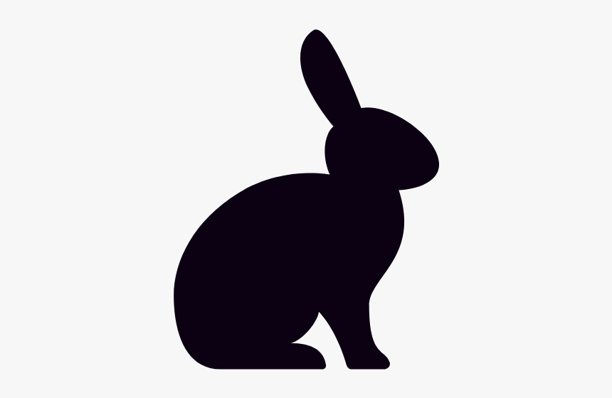 Domestic Rabbit,rabbit,rabbits And Hares,hare,tail - Black Rabbit Png, Transparent Png, Free Download