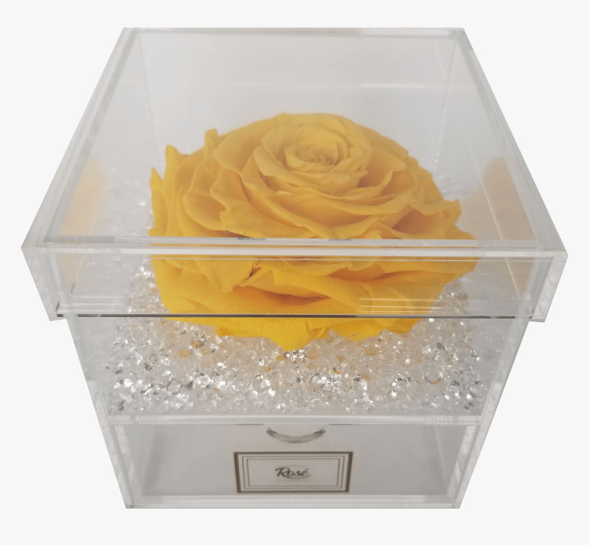 Single Rose Keepsake Box - Garden Roses, HD Png Download, Free Download