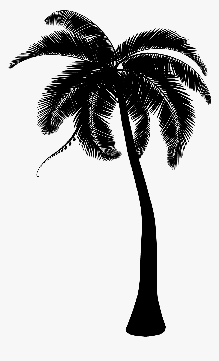 Palm Trees Coconut Clip Art Portable Network Graphics - Clipart Transparent Background Coconut Tree Png, Png Download, Free Download