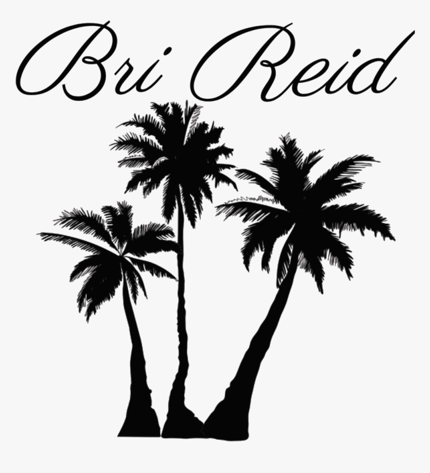 Clip Art Portable Network Graphics Palm Trees Coconut - Palm Tree Silhouette Png, Transparent Png, Free Download