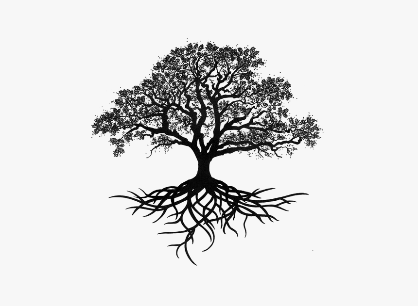 Tree Oak Drawing Silhouette - Tree Of Life With Roots, HD Png Download, Free Download