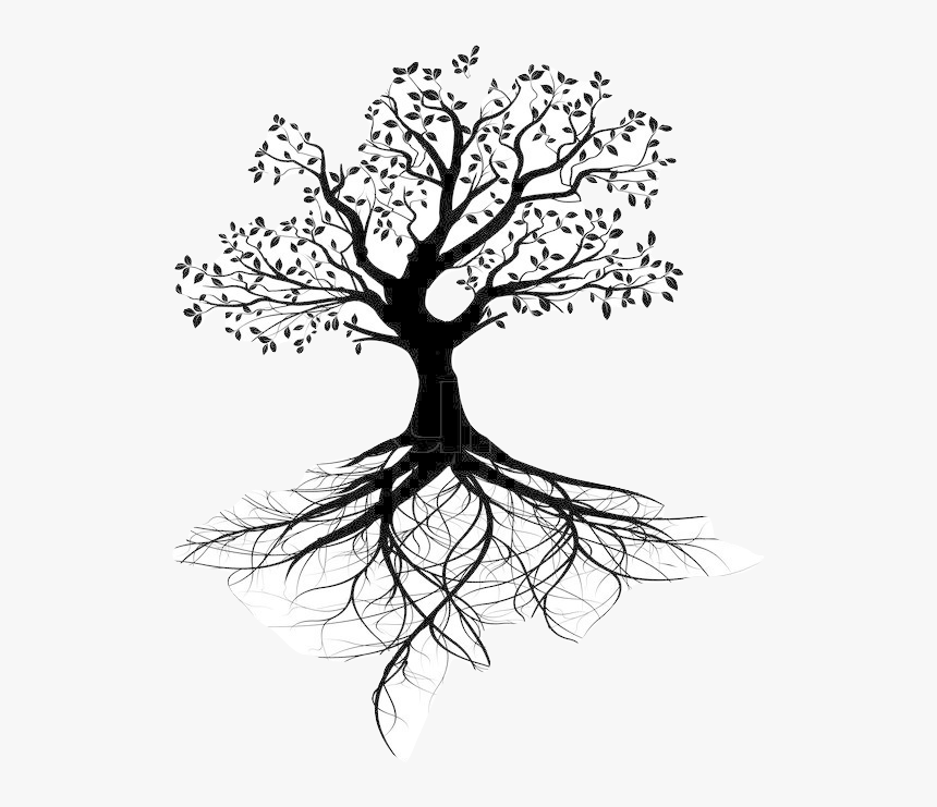 Stock Photography Tree Of Life Root - Tree With Roots Design, HD Png Download, Free Download