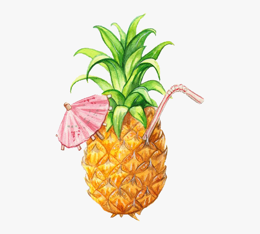 Pineapple Illustration, HD Png Download, Free Download