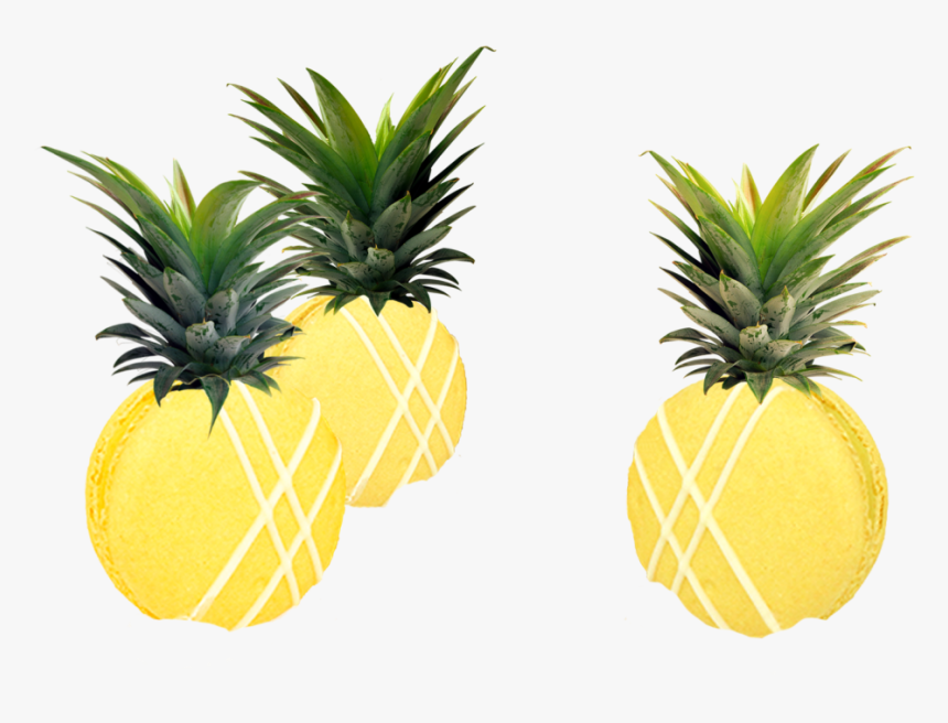 Pineapple , Transparent Cartoons - Pineapple, HD Png Download, Free Download