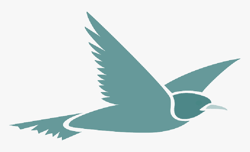 Flying Bird Cartoon Transparent Background , Png Download - Transparent Background Bird Flying Clipart, Png Download, Free Download