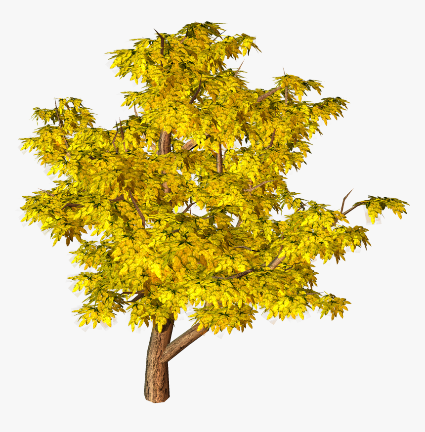Yellow Fall Tree Png Clipart - Png Autumn Tree Transparent, Png Download, Free Download