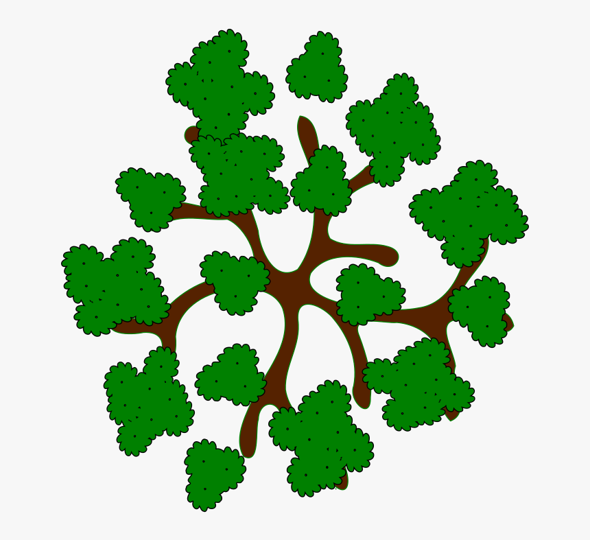 Tree-14a - Clipart Trees Top View, HD Png Download, Free Download