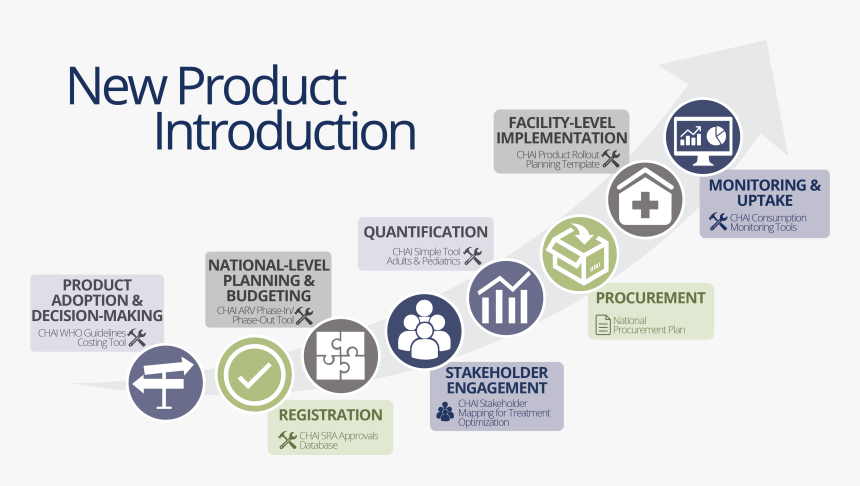 New Product Introduction Phases, HD Png Download, Free Download