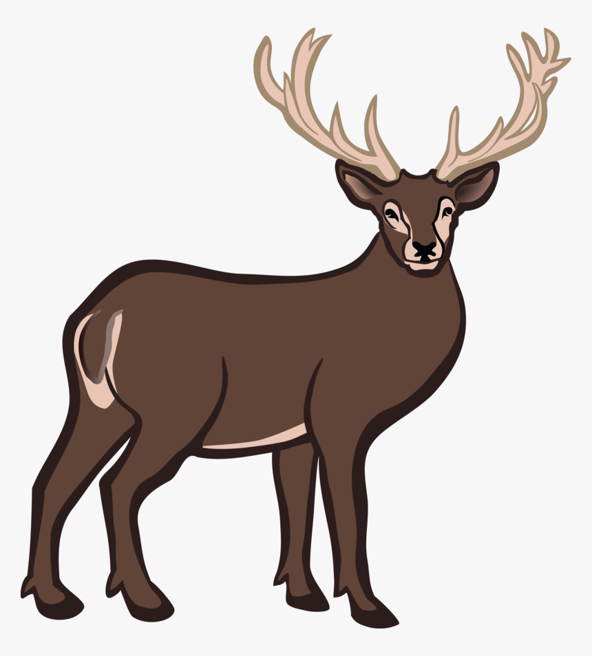 Free Clipart Of A Buck Deer - Buck Transparent Background Deer Clipart, HD Png Download, Free Download