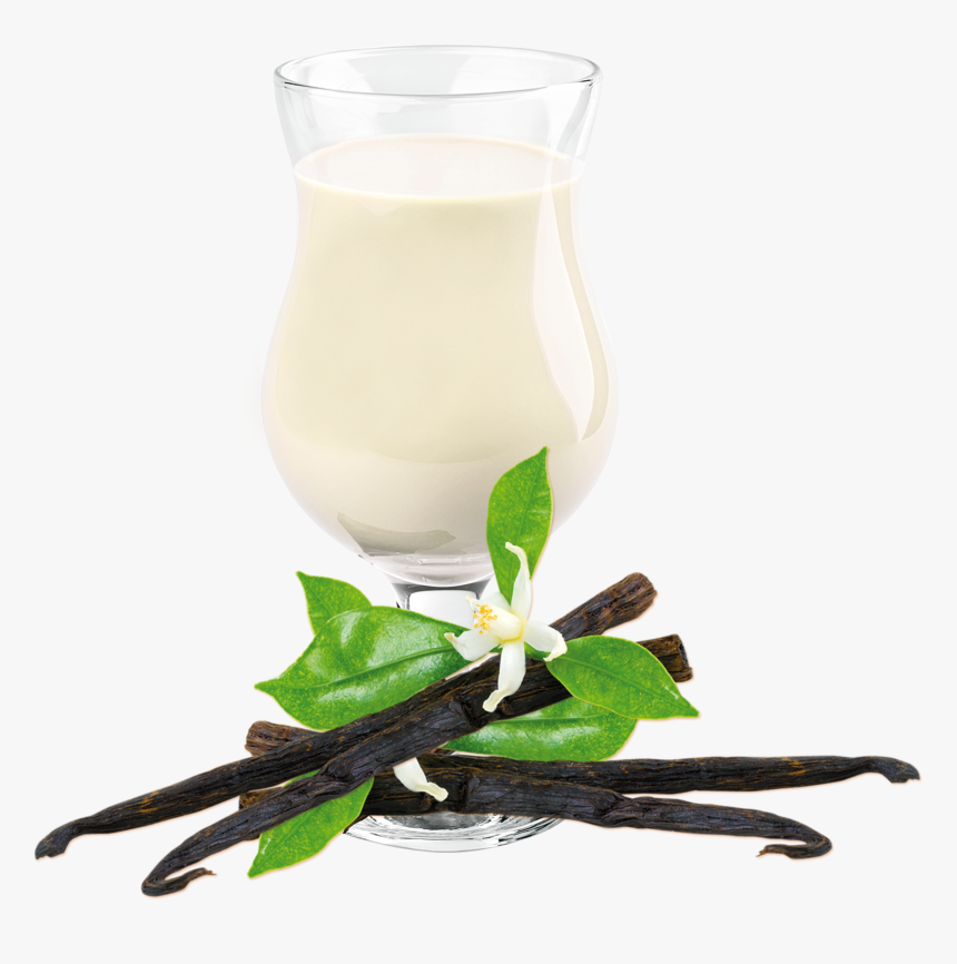 Vanilla Shake Drink Mix - Vanilla Meal Replacement Shakes, HD Png Download, Free Download